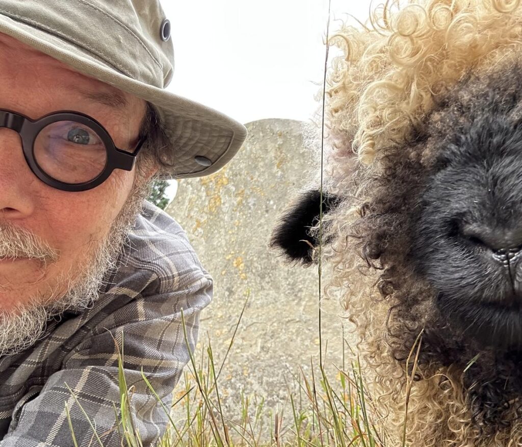 0ca2b850 5f32 4547 9830 5d37a4ab1619