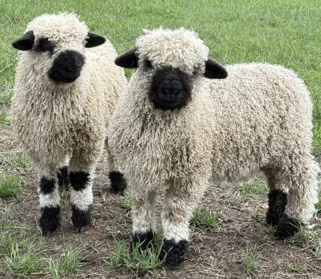 att.yk h uifb6jlks5ngb5hqdhrsknhacq8etaprv5zwre